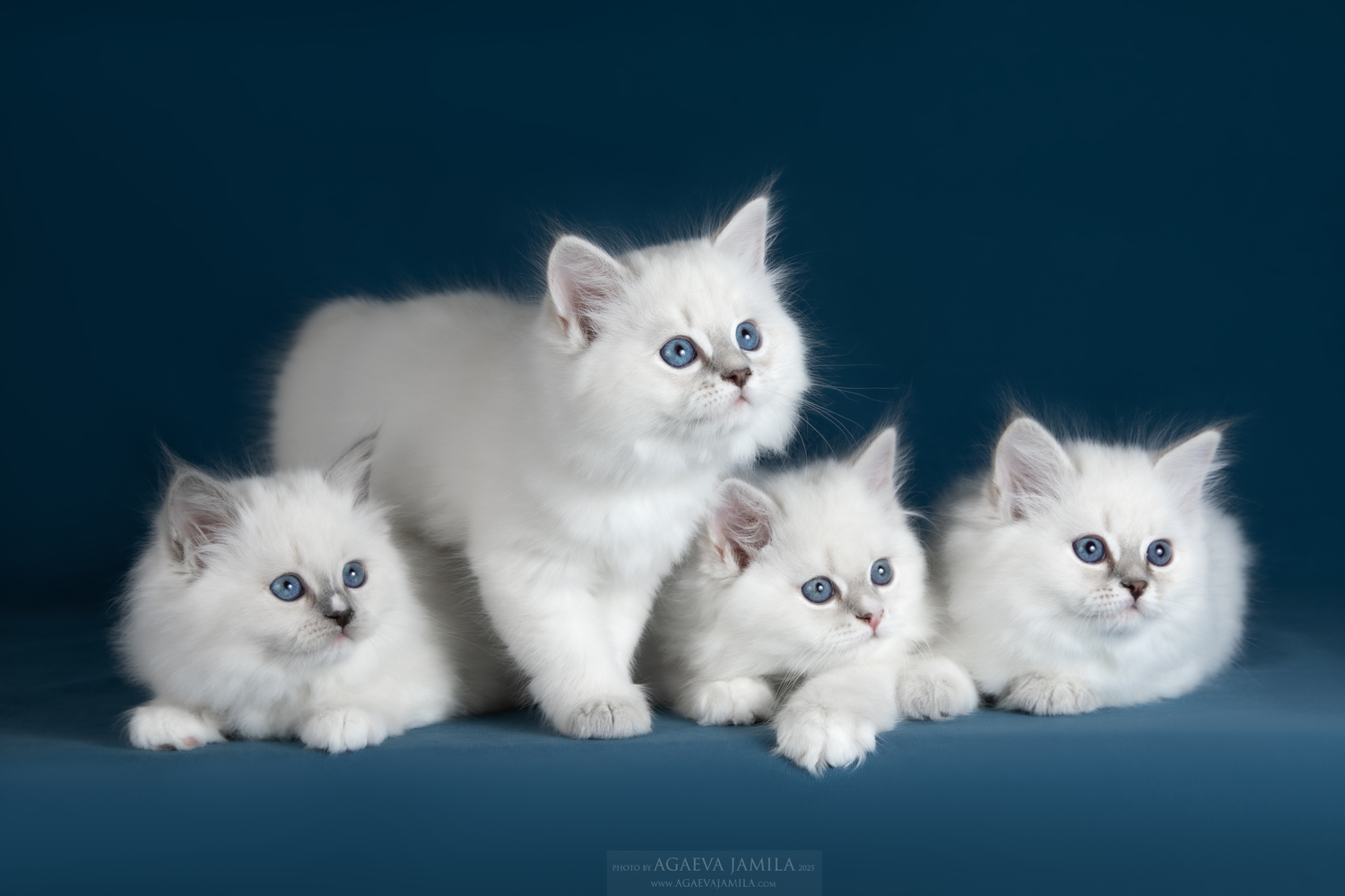 1 января 2026 года&nbsp;