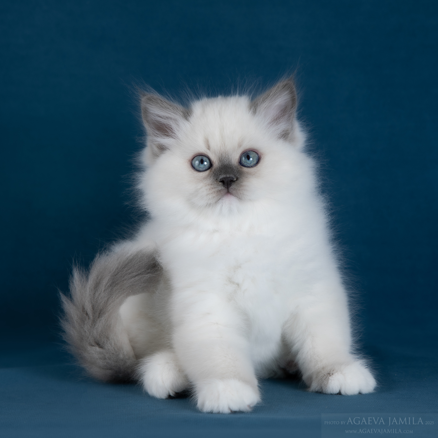 Поддержка и помощь