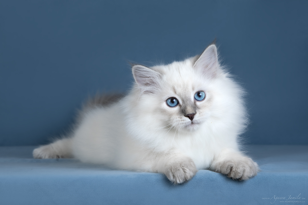 7 апреля 2026 года