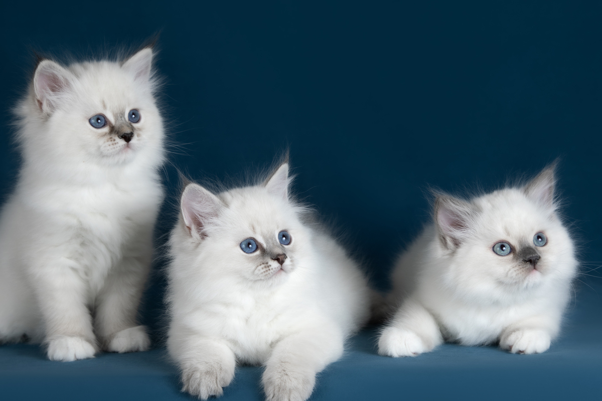 1 января 2026 года&nbsp;